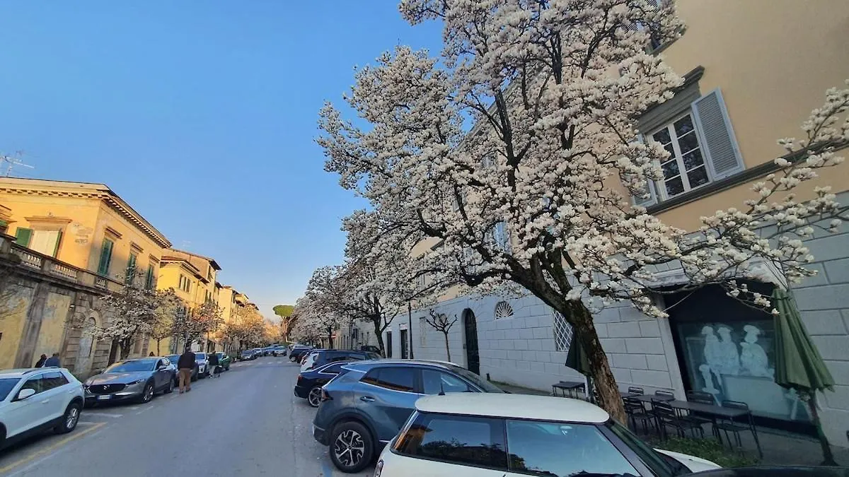 Appartamento Nonna Natalina Lukka Apartament